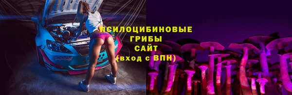 сатива Алзамай