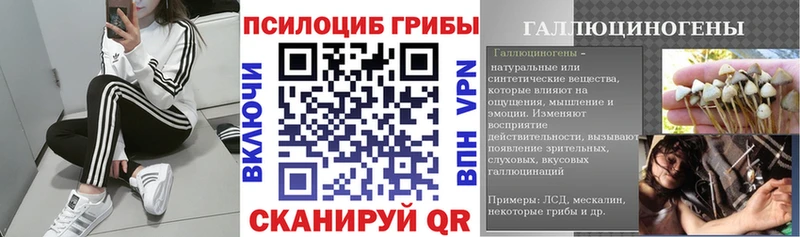 Псилоцибиновые грибы GOLDEN TEACHER  наркота  Любим 
